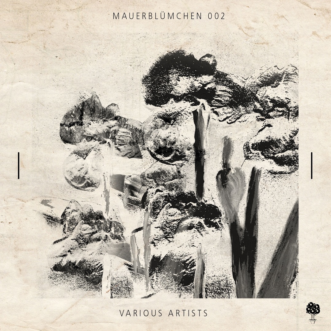 VA - Mauerblumchen 002 [TT011]